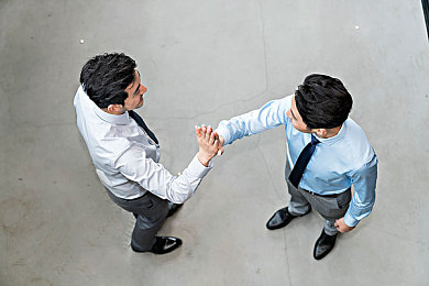 老师你的兔子好大好软水的作文：师生情谊新视角，作文走红网络