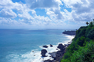 我叫mt血精灵法师,奇幻冒险之旅，血精灵法师崛起！