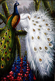 康熙来了2013,《康熙来了》2013：娱乐盛宴魅力无限-1