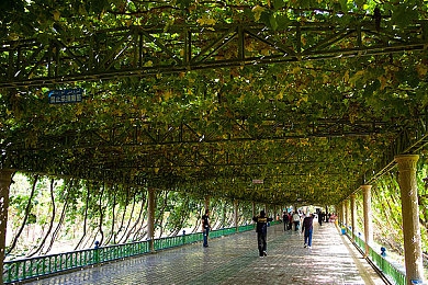 花样少年少女全集,青春校园剧新标杆，成长励志引共鸣-1