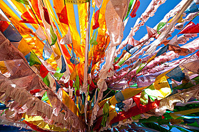 蜜桃影视,影视盛宴，蜜桃影视带你畅享观影新体验-1