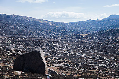 美国ZOOM动物3D,VR动物园新体验，珍稀动物“触手可及”-1