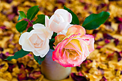 奥运走光,奥运意外引关注,体操安全需加强-1