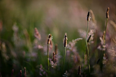 娘娘腔老师遇难记,悲剧！数学老师讲题中突发意外，倒地离世-1