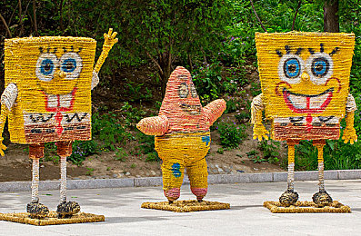 近战保镖,实战保镖：企业高管明星的守护神-1