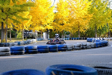 大草莓直播app,直播新宠：大草莓app，趣味互动盛宴-1