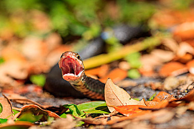 51我的朋友我的家：都市新地标，温馨社区活动中心盛大开业