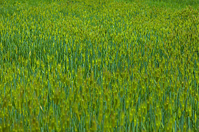 日本护士体内she精3XxX,日本护士体内精子异常,原因令人震惊!-1