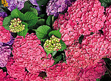 一个 韩寒,作家韩寒新作《一个》:探寻人生意义,引发深度思考-1