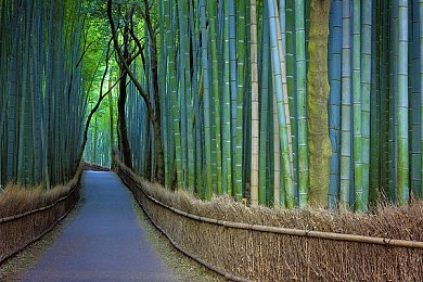 tuliu6电影网,电影天堂升级，tuliu6引领观影新潮流