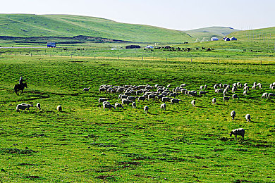 mc珍妮动画网站进入链接,动画盛宴来袭,mc珍妮网站全新上线-2