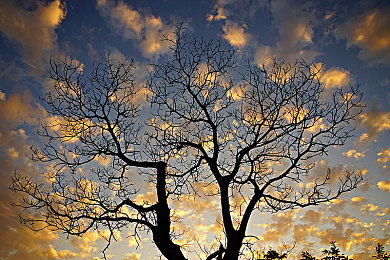 大香蕉手机在线视频,移动视频新宠，海量内容等你来享-1