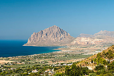 天美果冻蜜桃精东传媒,果冻蜜桃新宠，精东传媒助力市场火爆-1