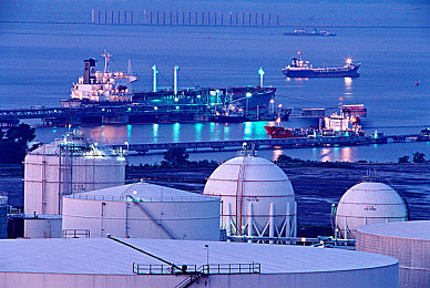 成人版复仇者联盟,《复仇者联盟》成人版来袭,角色蜕变引期待-2