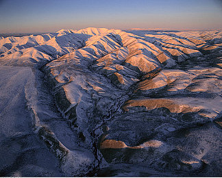 浴火蝴蝶,蝴蝶浴火重生，生命奇迹引关注-2