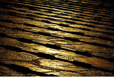 飞信上不去,飞信故障困扰多，网友求助攻略来袭-1