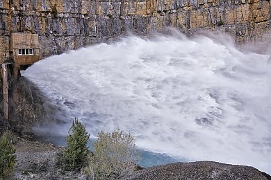 大菠萝福建官网海纳百川,福建新官网亮相，大菠萝购物体验升级-2