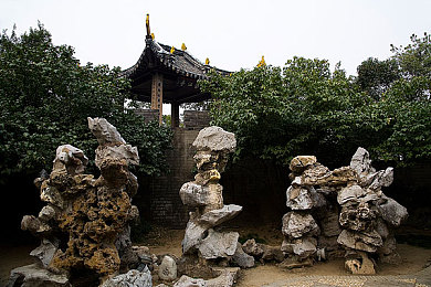 傅传玉：科技先锋：傅传玉引领人工智能新篇章-2
