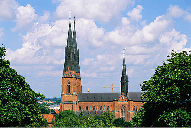 他的手指在里面转动的写作业呢,勤奋少年指尖舞,谱写青春华章-3