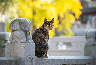 美知广子性猝死完整版,日本女星突发离世，生前状态令人震惊