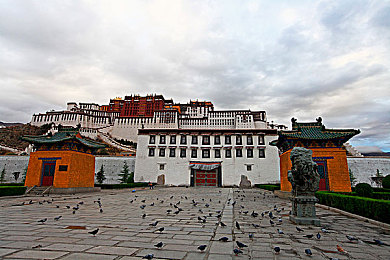 小辣椒樱桃湿地福：秘境之旅：湿地樱桃辣椒，福地风光美食-2