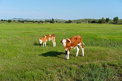 歪歪漫画网页版入口免费进,漫画天堂新篇章:歪歪漫画网页版免费畅读来袭-1