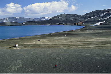 吃瓜军训跳舞,夏日军训新风尚，西瓜舞蹈展青春