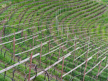 张根硕大闹rain演唱会：意外惊喜！韩星张根硕空降Rain演唱会助阵-1