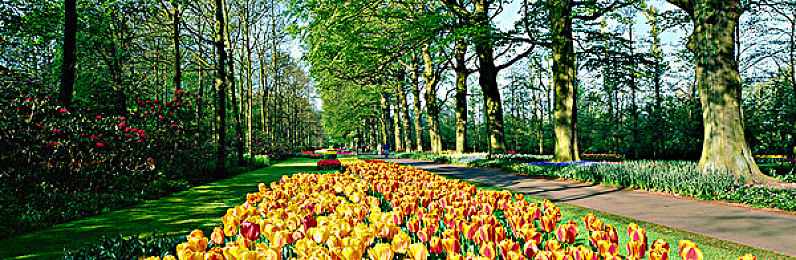 修罗邪道：神秘修罗族崛起，冒险之旅等你来挑战-2