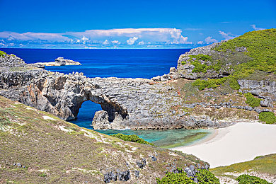 AI换脸JENNIE向上射水：神奇换脸技术：明星变运动员，视觉盛宴来袭