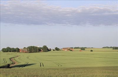 天堂2转职,经典MMORPG新篇章，天堂2转职系统来袭-2