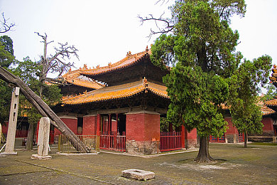 我还没用力你怎么那么痛什么歌,痛彻心扉，共鸣无数，新歌走红-1