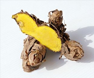 18禁网站,揭秘：如何避开“18禁”网站，守护青少年健康成长-2