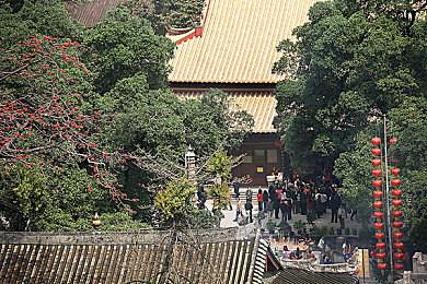 精品日产一卡2卡三卡4卡自拍,自拍神器新潮流，四卡组合引领风骚