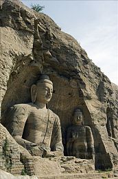 大草莓直播app,直播新宠：大草莓app，趣味互动盛宴-3