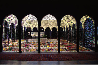 花园里的父爱回家后续怎么写,都市父亲花园送爱，父女温馨时光-3