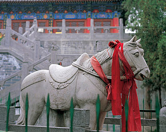 媳妇苏大强,明星夫妻甜蜜爱情，家庭生活羡煞旁人-3