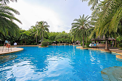 姐姐终于长大了呢可以做了,青春绽放,职场精英小芳的成长传奇-2