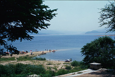 尹玉林,科技领军者尹玉林：新能源突破助力国家发展-1