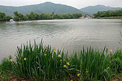 世界上最大阳器有多大,揭秘:阴茎尺寸真相,健康生活才是关键-3