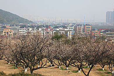 在火车上和吗妈睡下铺,火车同睡下铺，母子温馨画面引共鸣