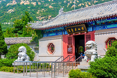 老师的兔兔,校园兔兔助力教学，爱心温暖成长时光-2