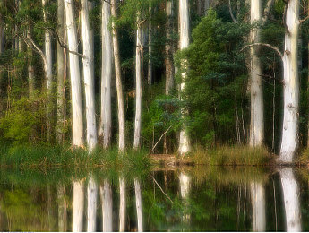 51朝阳群众爆料吃瓜网最新,明星恋情突变，情感纠葛引热议-2