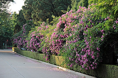 日本护士体内she精3XxX,日本护士体内精子异常,原因令人震惊!-2