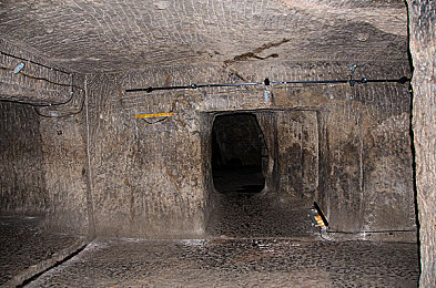 张雨欣惊艳照片大全,明星张雨欣：多面魅力，惊艳亮相-2