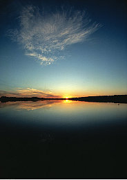 黑色撒旦的索情：神秘角色引发热议，爱情角逐震撼文坛-2