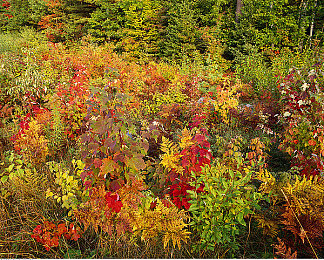 被体育老师c了我一节课作文,体育老师严格批评，学生作文引发热议-5