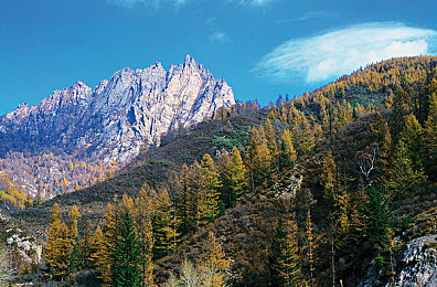 张根硕大闹rain演唱会：意外惊喜！韩星张根硕空降Rain演唱会助阵-2