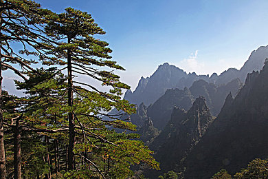 夜叉御魂,神秘夜叉助力，奇幻游戏即将来袭-2