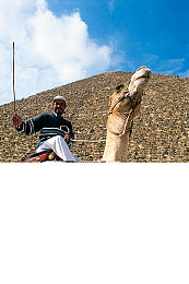 世界X交大比赛女冠军,科技赛场绽放，我国女将夺冠荣光！